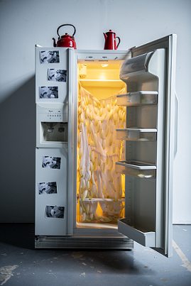 photo de l'installation chiconnade